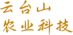 焦作市研創(chuàng)精密制動(dòng)器有限公司